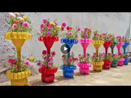 Recycle Plastic Bottles into Beautiful Moss Roses Flower Pots For Garden | Moss Rose from Cuttings